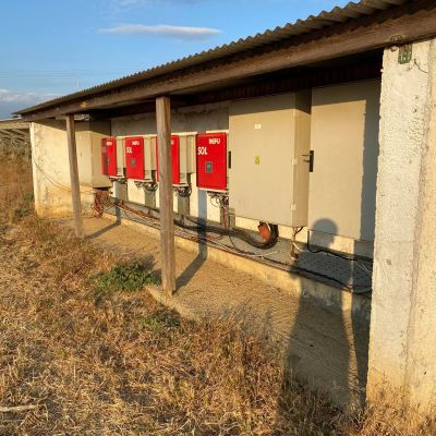 222896730_793532531318176_968195269225679128_n